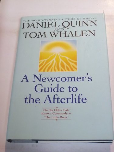 A Newcomer's Guide to the Afterlife : On the Other Side Known Commonly As 