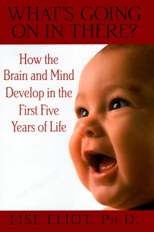 Beispielbild fr What's Going on in There?: How the Brain and Mind Develop in the First Five Years of Life zum Verkauf von SecondSale
