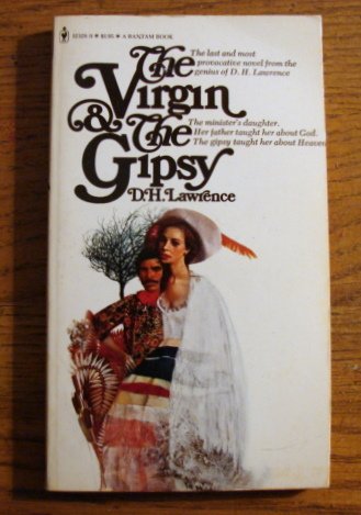 9780553123289: Virgin and the Gypsy