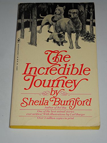 Beispielbild fr The Incredible Journey zum Verkauf von Better World Books
