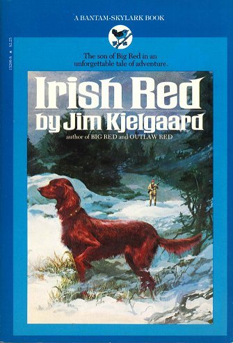 Beispielbild fr Irish Red Son of Big Red zum Verkauf von Better World Books