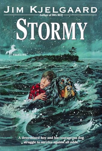 Beispielbild fr Stormy zum Verkauf von Wonder Book