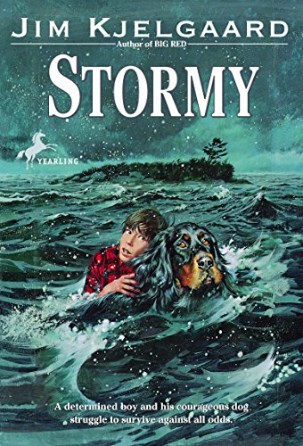 Imagen de archivo de Stormy a la venta por BooksRun