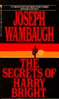 Beispielbild fr The Secrets of Harry Bright zum Verkauf von Jenson Books Inc