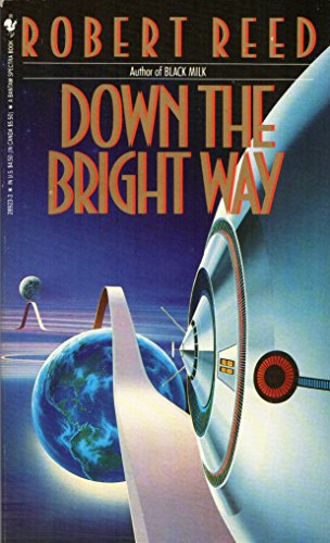 Imagen de archivo de Down the Bright Way a la venta por Half Price Books Inc.
