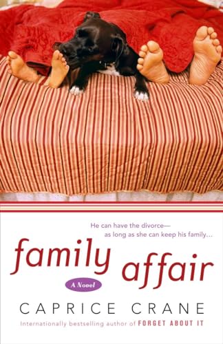 Imagen de archivo de Family Affair A Novel a la venta por SecondSale