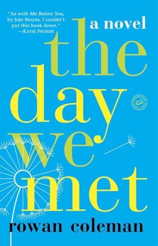 Beispielbild fr The Day We Met : A Novel zum Verkauf von Better World Books