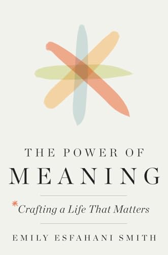 Beispielbild fr The Power of Meaning : Crafting a Life That Matters zum Verkauf von Better World Books