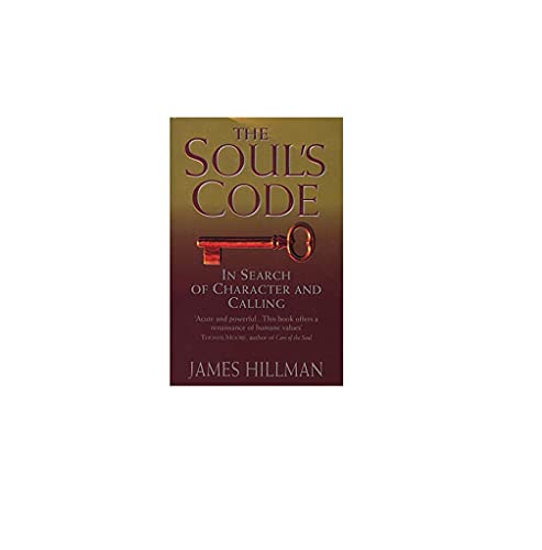 Stock image for The Soul's Code for sale by Blackwell's