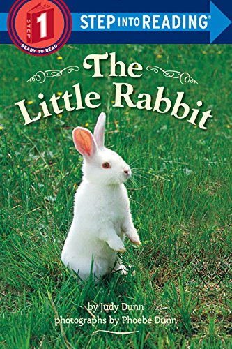 Beispielbild fr The Little Rabbit Step into Re zum Verkauf von SecondSale