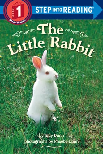 9780553533545: The Little Rabbit