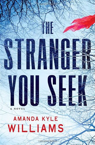 Imagen de archivo de The Stranger You Seek: A Novel a la venta por BookHolders