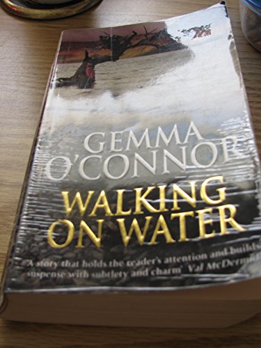 Imagen de archivo de Walking on Water a la venta por SecondSale
