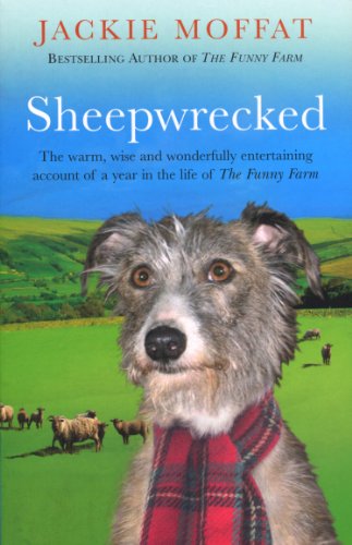 Stock image for Sheepwrecked for sale by AwesomeBooks