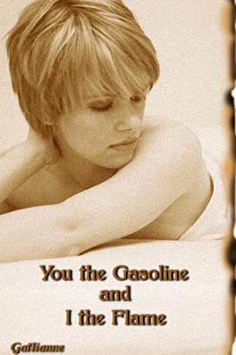 Imagen de archivo de You the Gasoline and I the Flame a la venta por Chiron Media