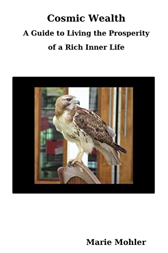 Stock image for Cosmic Wealth: A Guide to Living the Prosperity of a Rich Inner Life for sale by PBShop.store US