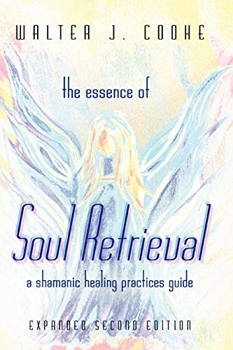 Imagen de archivo de The Essence of Soul Retrieval: A Shamanic Healing Practices Guide a la venta por MusicMagpie