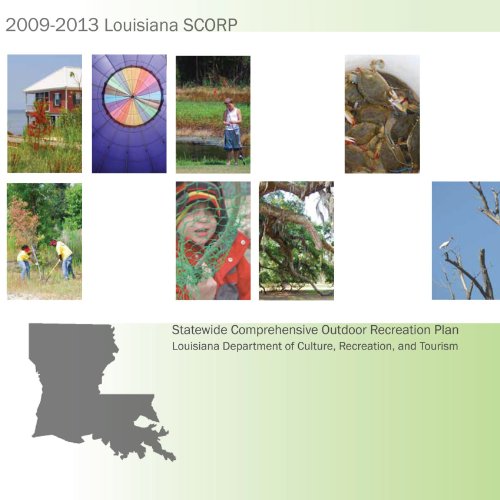 9780557096695: 2009-2013 Louisiana SCORP
