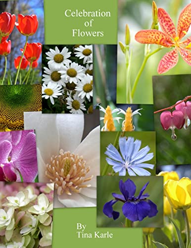 9780557167616: Celebration of Flowers