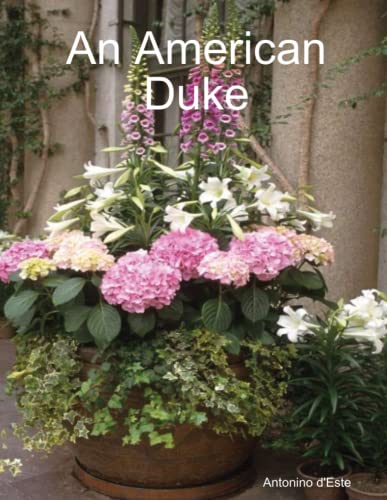 Imagen de archivo de An American Duke a la venta por Revaluation Books