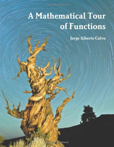 Beispielbild fr A Mathematical Tour of Functions Jorge Alberto Calvo zum Verkauf von The Book Spot