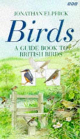 Stock image for Birds: A Guide Book to British Birds for sale by AwesomeBooks
