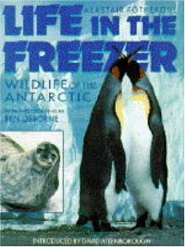 Beispielbild fr Junior Life in the Freezer: Natural History of the Antarctic zum Verkauf von WorldofBooks