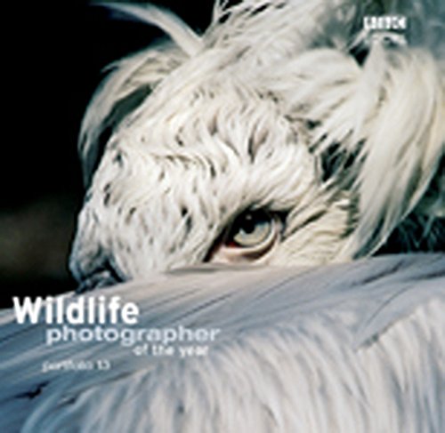 Imagen de archivo de Wildlife Photographer of the Year Portfolio 13 (Wildlife Photographer Annual, 13) a la venta por WorldofBooks