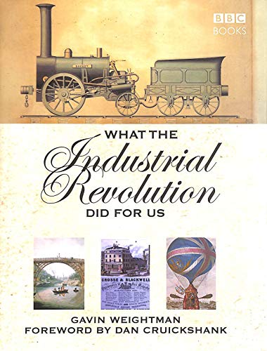 Imagen de archivo de What The Industrial Revolution Did For Us a la venta por WorldofBooks