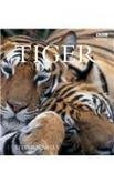 Beispielbild fr Tiger zum Verkauf von WorldofBooks