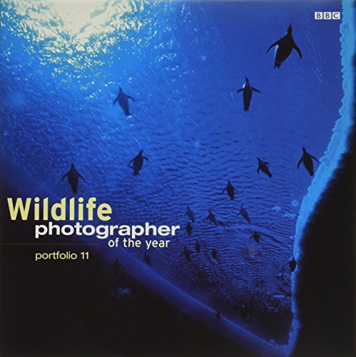 Beispielbild fr Wildlife Photographer of the Year: Portfolio 11 (Wildlife Photographer Annual) (Wildlife Photographer Annual, 11) zum Verkauf von WorldofBooks