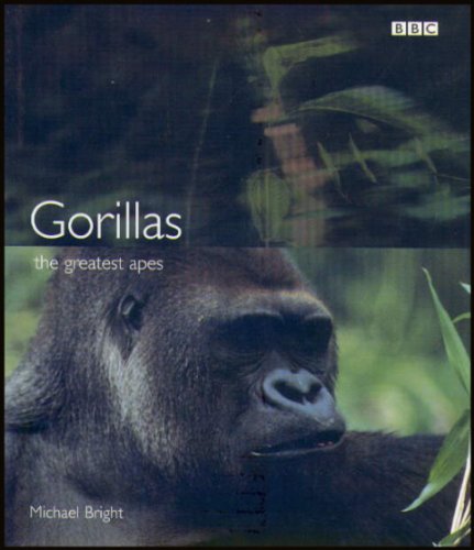 Beispielbild fr Gorillas: the Greatest Apes zum Verkauf von WorldofBooks