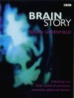 Stock image for Brain Story : Unlocking Our Inner World of Emotions, Memories, Ideas and Desires for sale by Better World Books: West