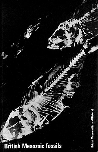 British Mesozoic Fossils (British Museum Publication) (9780565007034) by British Museum Natural History Department; C.A. Castell