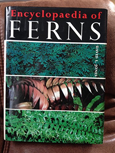 9780565010195: Encyclopaedia of Ferns