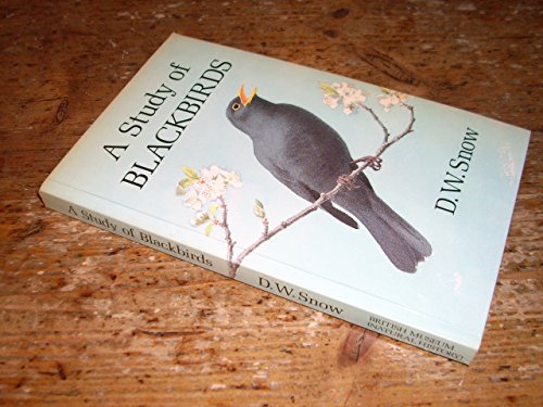 Imagen de archivo de A Study of Blackbirds a la venta por Better World Books Ltd