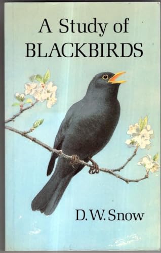 9780565010218: Study of Blackbirds