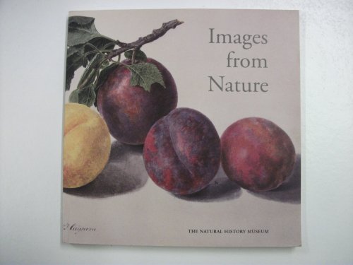 IMAGES FROM NATURE