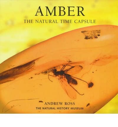 9780565091316: Amber: The Natural Time Capsule (Earth)