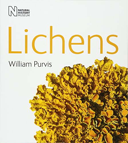 Stock image for Lichens (Life) (Life S.) for sale by Goldstone Books