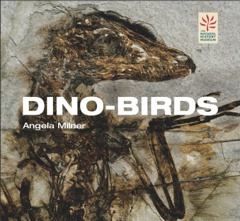 Stock image for Dino-birds: From Dinosaurs to Birds for sale by Reuseabook