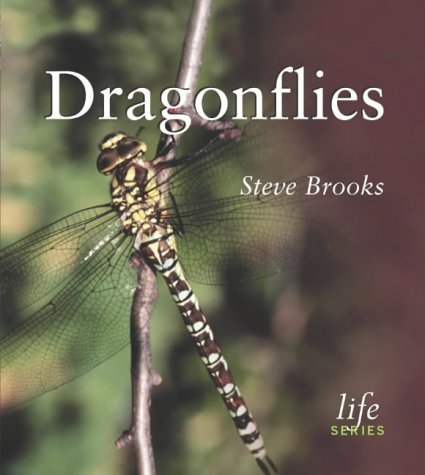Stock image for Dragonflies (Life Series) Brooks, Steve for sale by Hay-on-Wye Booksellers