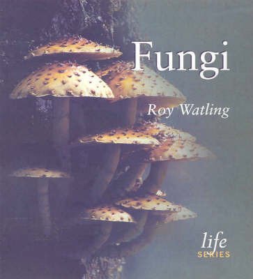 Imagen de archivo de Fungi (Life) a la venta por AwesomeBooks