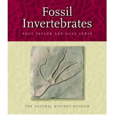 9780565091835: Fossil Invertebrates