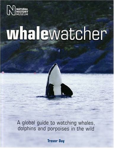 Imagen de archivo de Whale Watcher a la venta por WorldofBooks