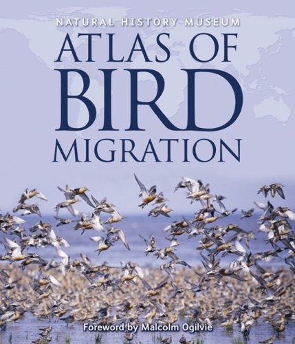 Beispielbild fr Natural History Museum Atlas of Bird Migration: Tracing the Great Journeys of the World's Birds zum Verkauf von WorldofBooks