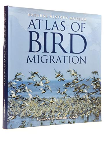 Imagen de archivo de Natural History Museum Atlas of Bird Migration: Tracing the Great Journeys of the World's Birds a la venta por AwesomeBooks