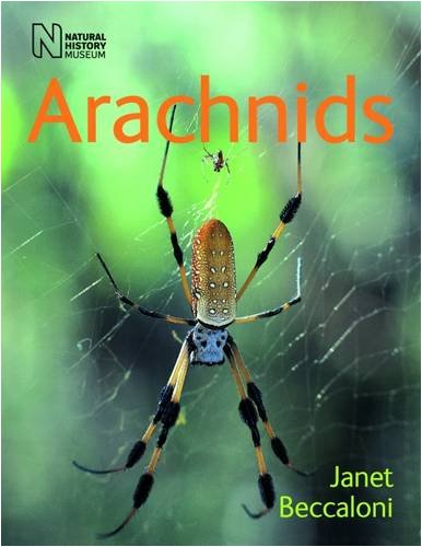 9780565092207: Arachnids