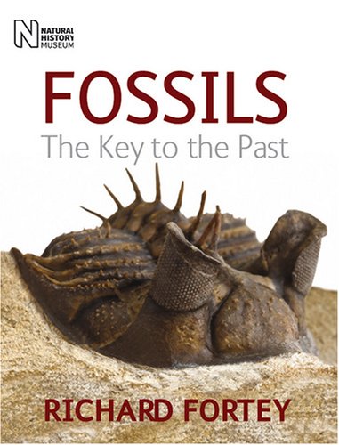9780565092337: Fossils: The Key to the Past