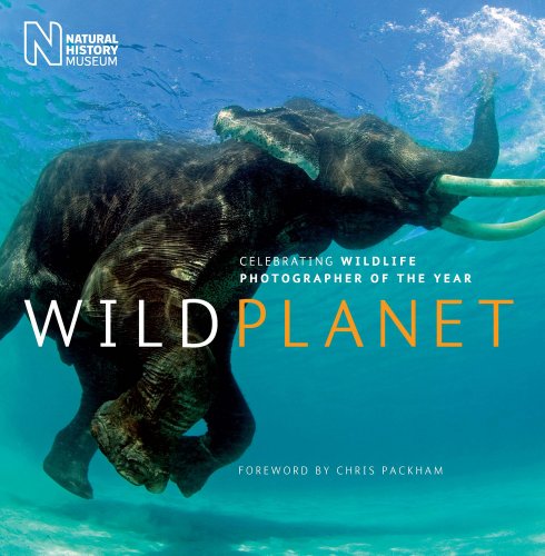 Stock image for Wild Planet: Celebrating Wildlife Photographer of the Year for sale by Hippo Books